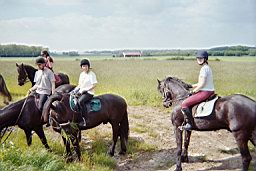 imm018_17A.jpg