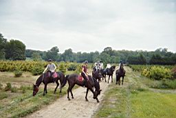 imm024_25A.jpg